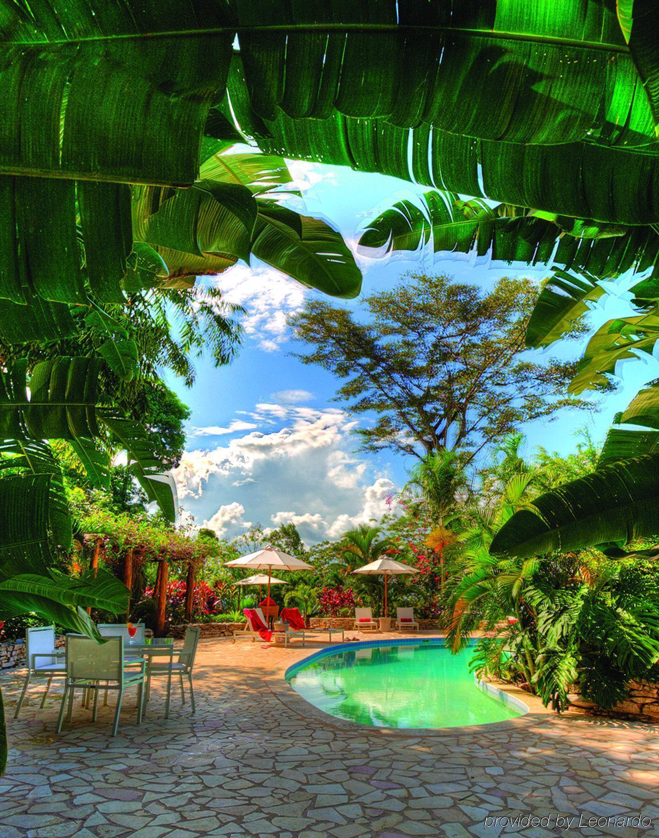 Machaca Hill Rainforest Canopy Lodge Punta Gorda Exterior foto